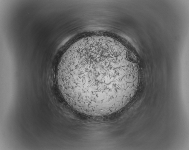 X0000111150871200907141339