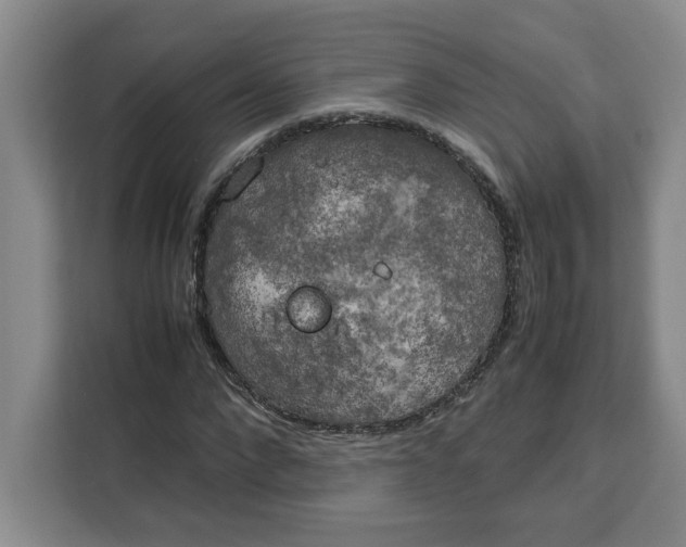 X0000111150872200907141339