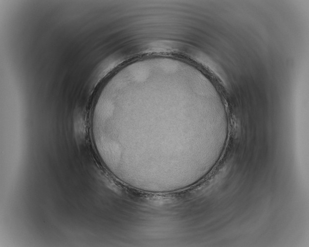 X0000111150874200907141339