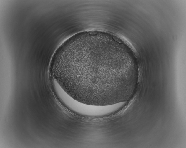 X0000111150876200907141339