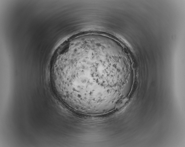X0000111150877200907141339