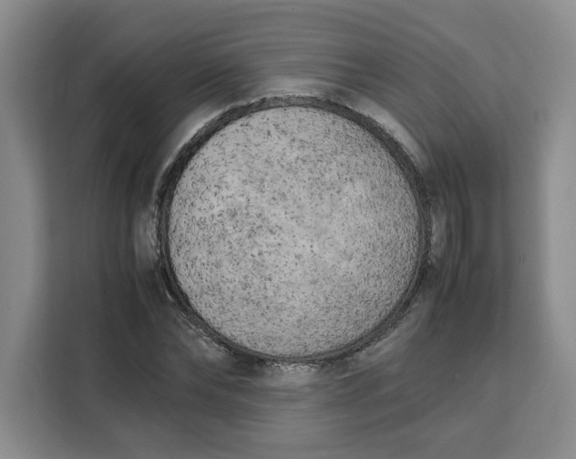 X0000111150878200907141339