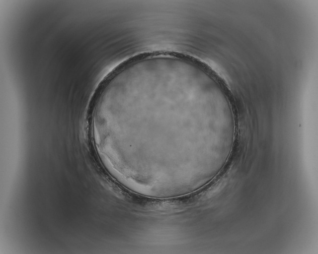 X0000111150879200907141339