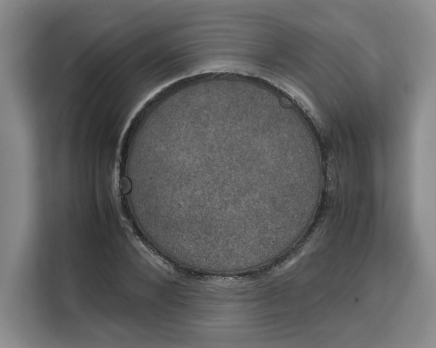 X0000111150880200907141339