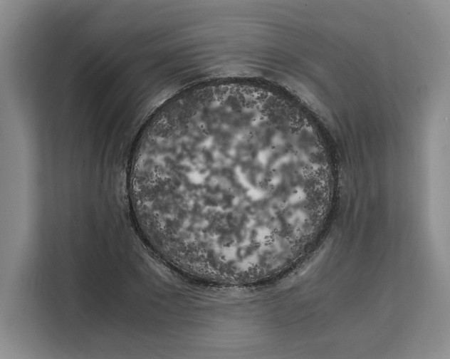 X0000111150881200907141339