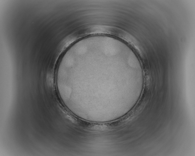 X0000111150882200907141339