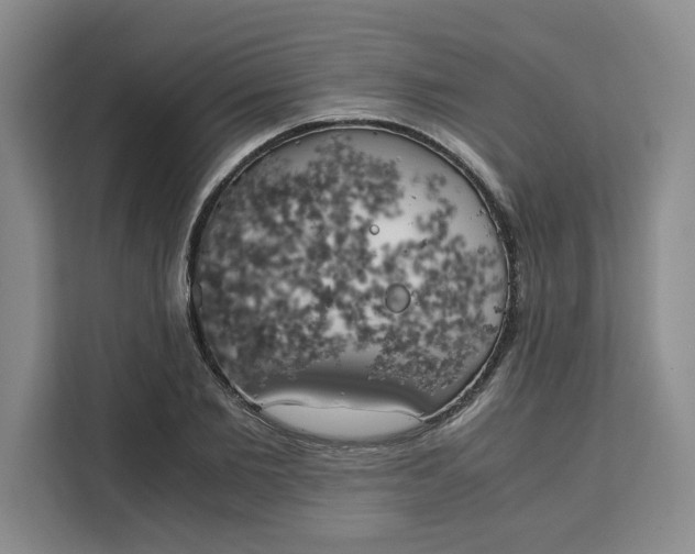 X0000111150885200907141339