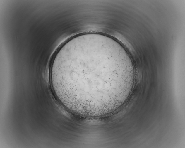 X0000111150886200907141339