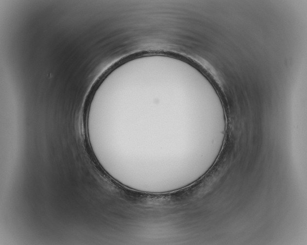 X0000111150887200907141339