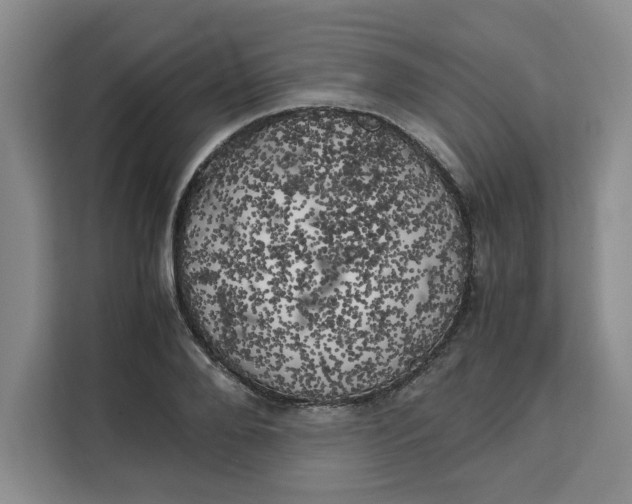 X0000111150888200907141339
