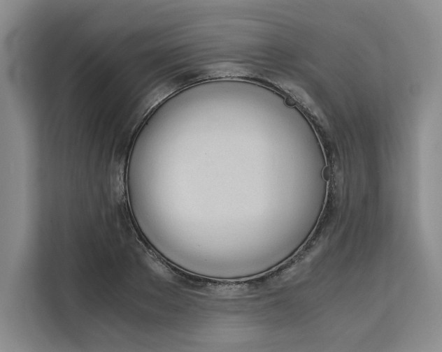 X0000111150889200907141339