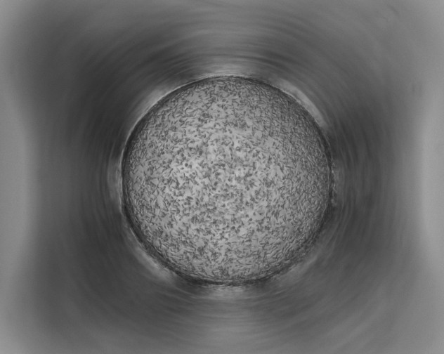 X0000111150890200907141339