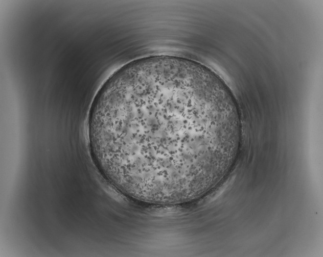 X0000111150891200907141339