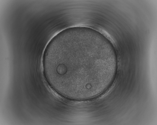 X0000111150892200907141339