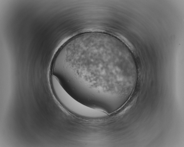 X0000111150893200907141339