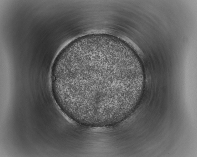 X0000111150894200907141339