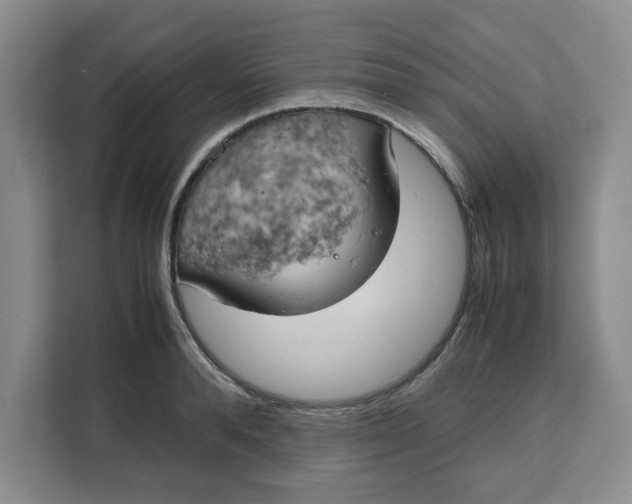 X0000111150896200907141339