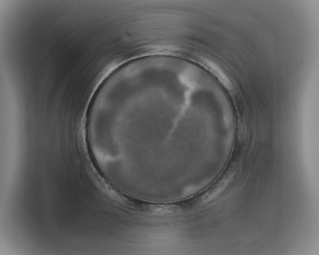 X0000111150899200907141339