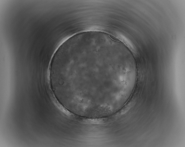 X0000111150900200907141339