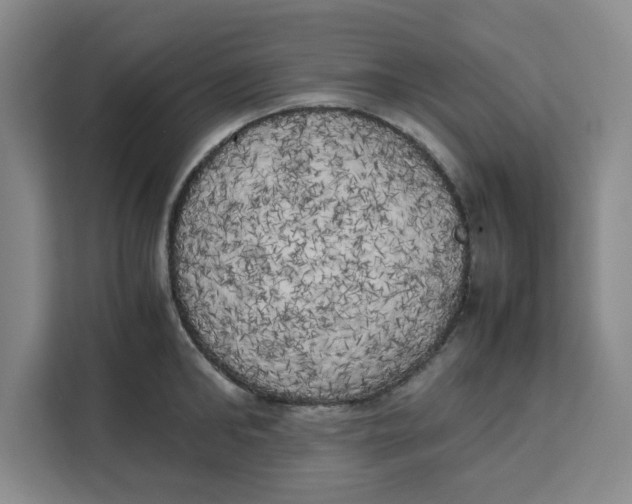 X0000111150902200907141339
