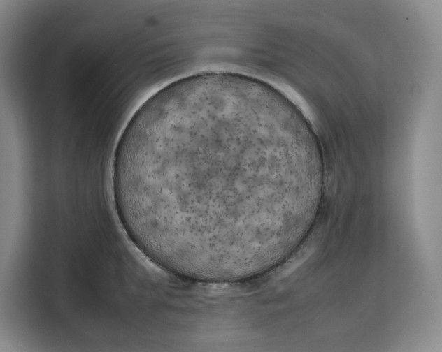 X0000111150903200907141339