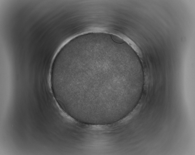 X0000111150904200907141339