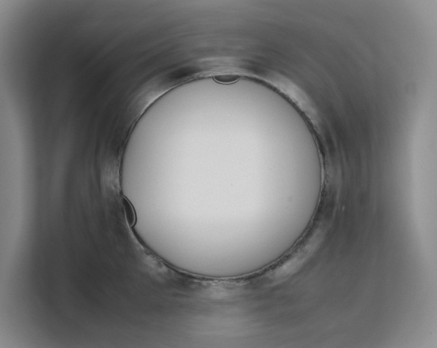 X0000111150905200907141339