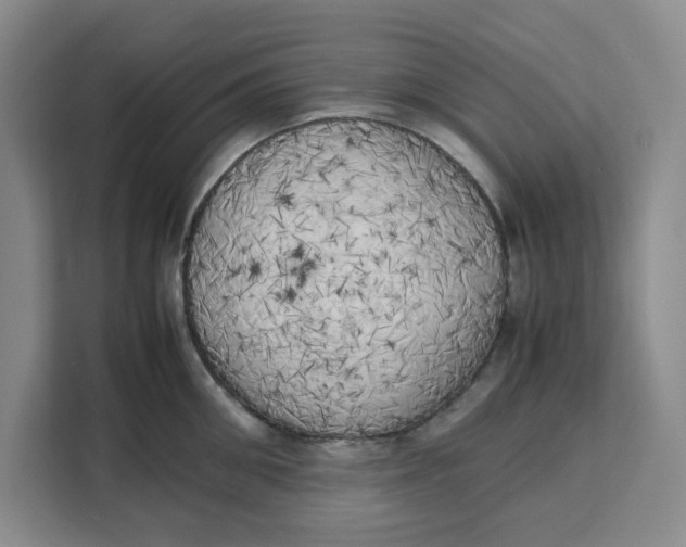 X0000111150906200907141339