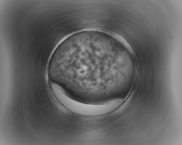 X0000111150908200907141339