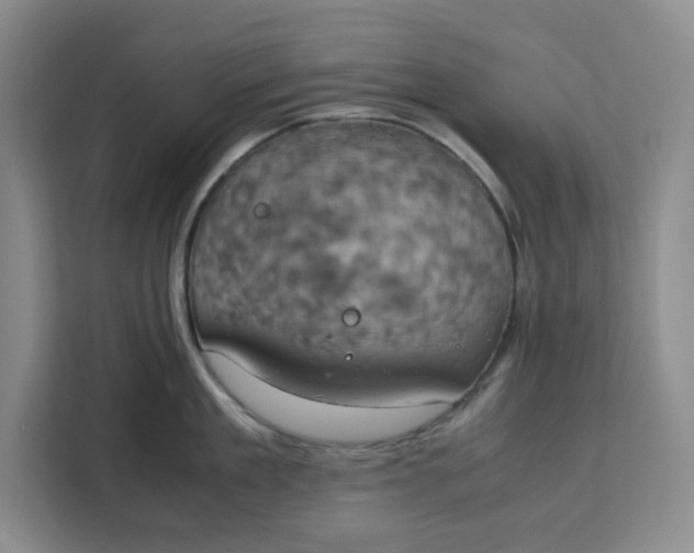 X0000111150909200907141339