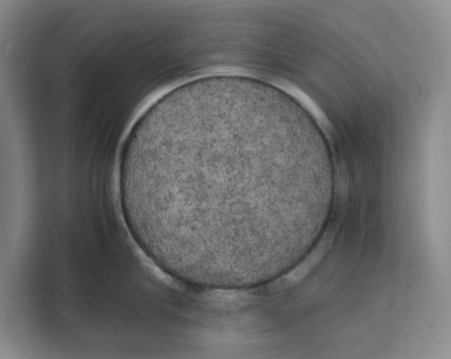 X0000111150910200907141339