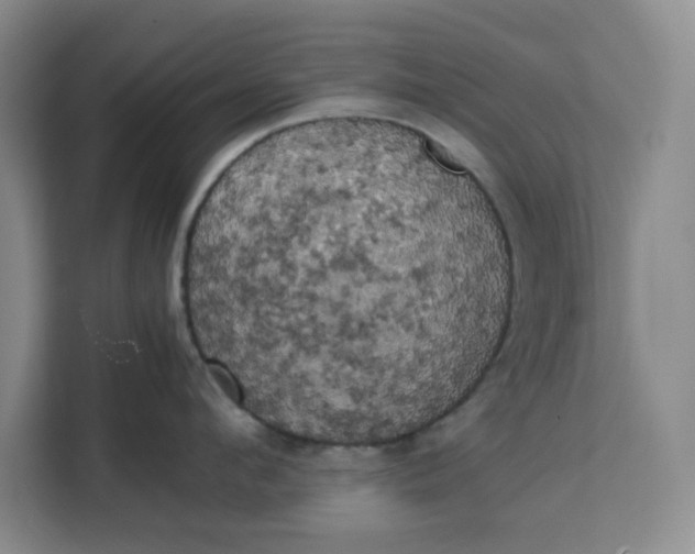 X0000111150912200907141339