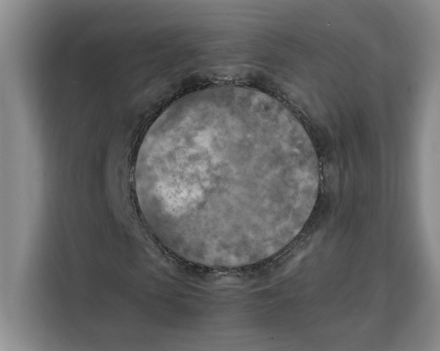 X0000111150913200907141338