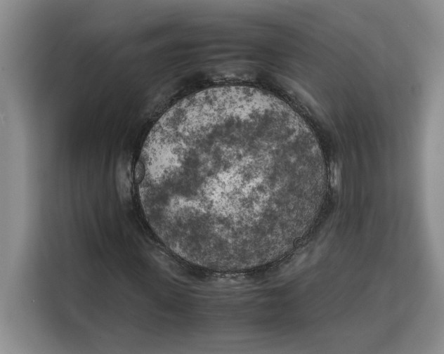X0000111150915200907141338
