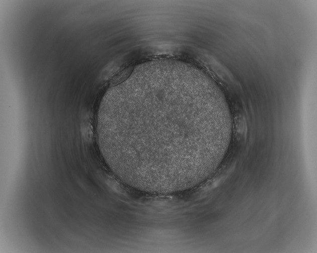 X0000111150916200907141338