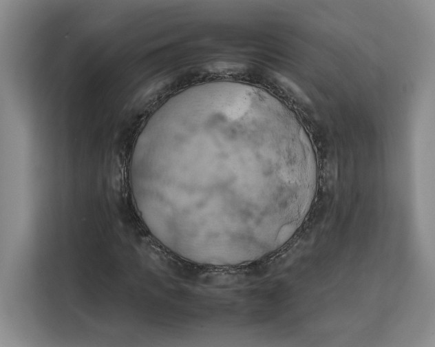 X0000111150917200907141338