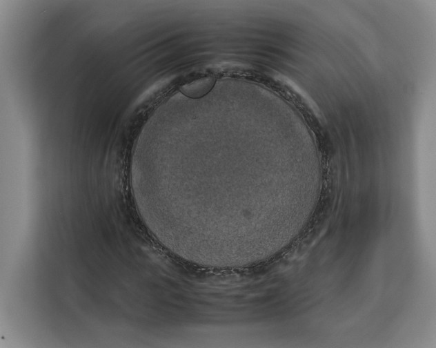 X0000111150919200907141338