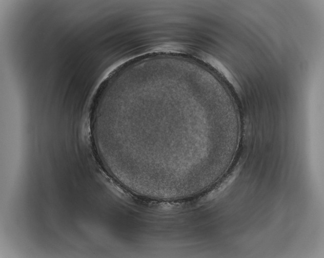 X0000111150923200907141338