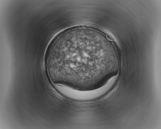 X0000111150924200907141338