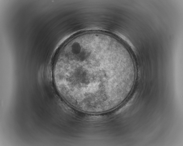 X0000111150925200907141338