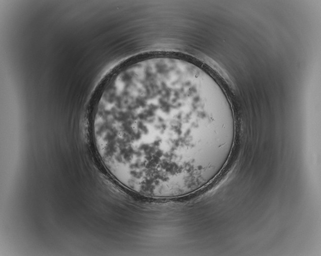 X0000111150926200907141338