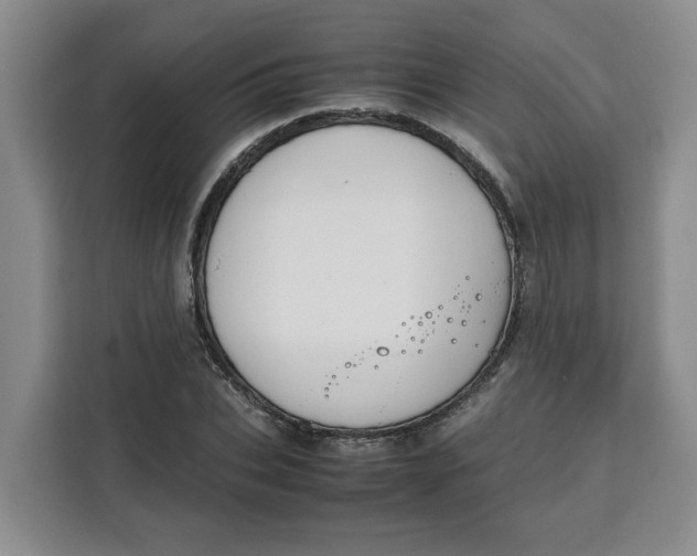 X0000111150927200907141338