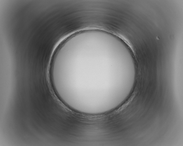 X0000111150928200907141338
