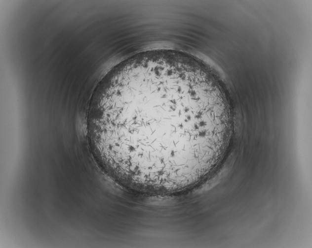 X0000111150929200907141338