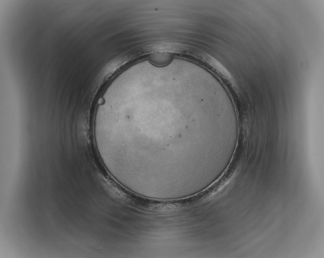 X0000111150930200907141338