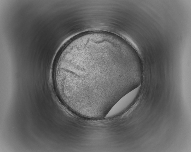 X0000111150932200907141338