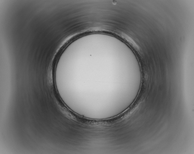 X0000111150934200907141338
