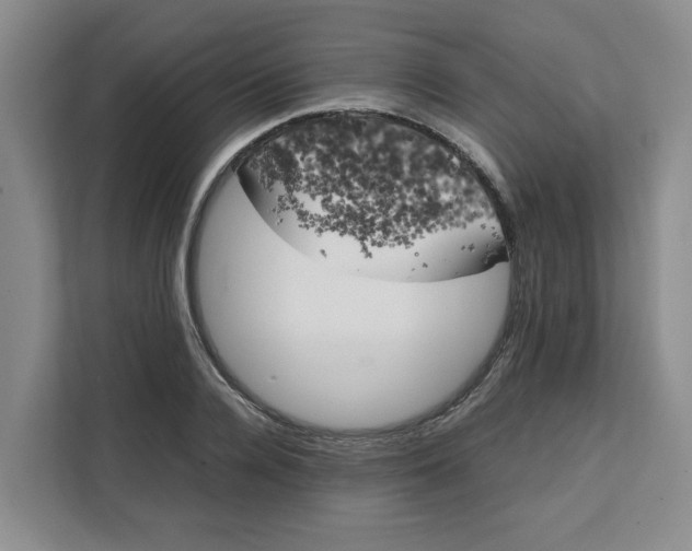 X0000111150936200907141338