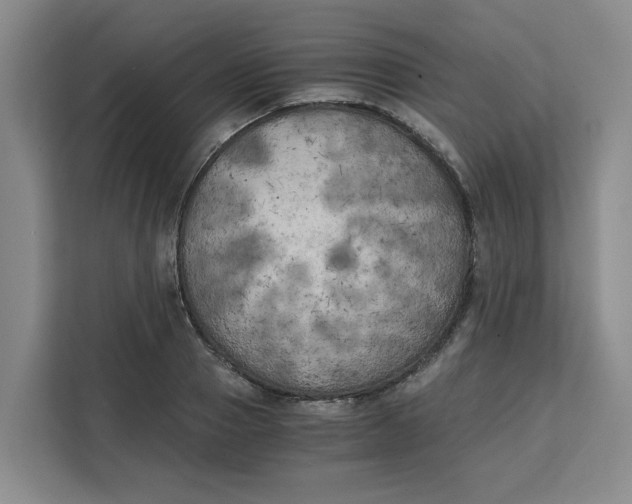 X0000111150937200907141338