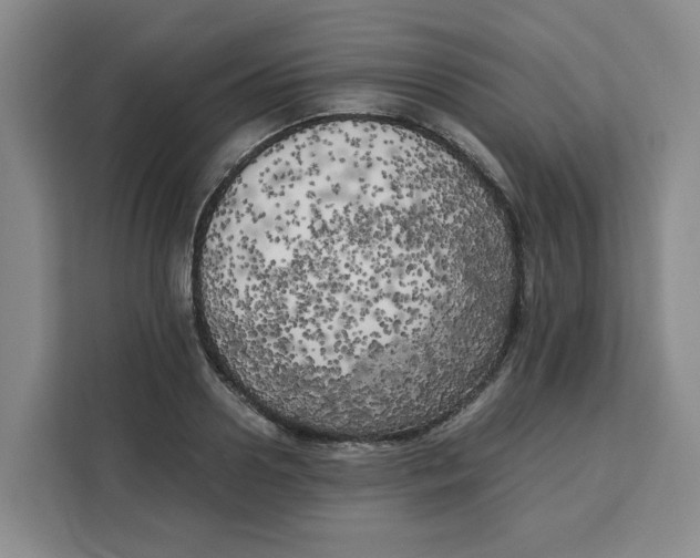 X0000111150938200907141338